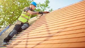 Best Roof Ventilation Installation  in Bement, IL