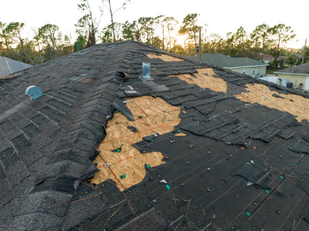 Best Roof Maintenance and Cleaning  in Bement, IL
