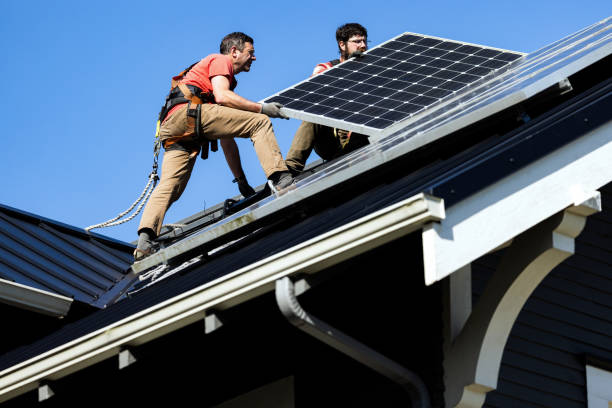 Best Skylights  in Bement, IL