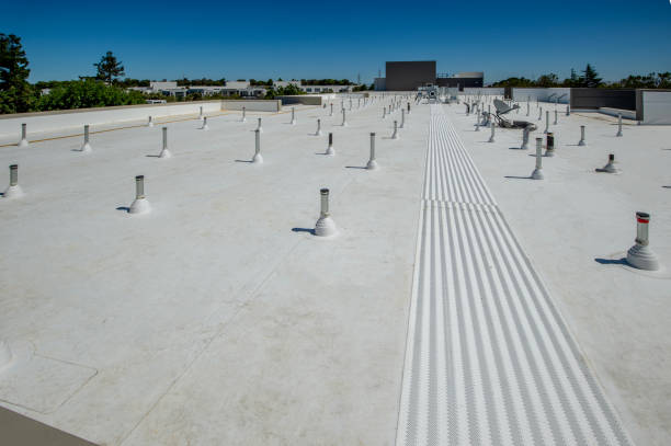 Best Roof Moss and Algae Removal  in Bement, IL